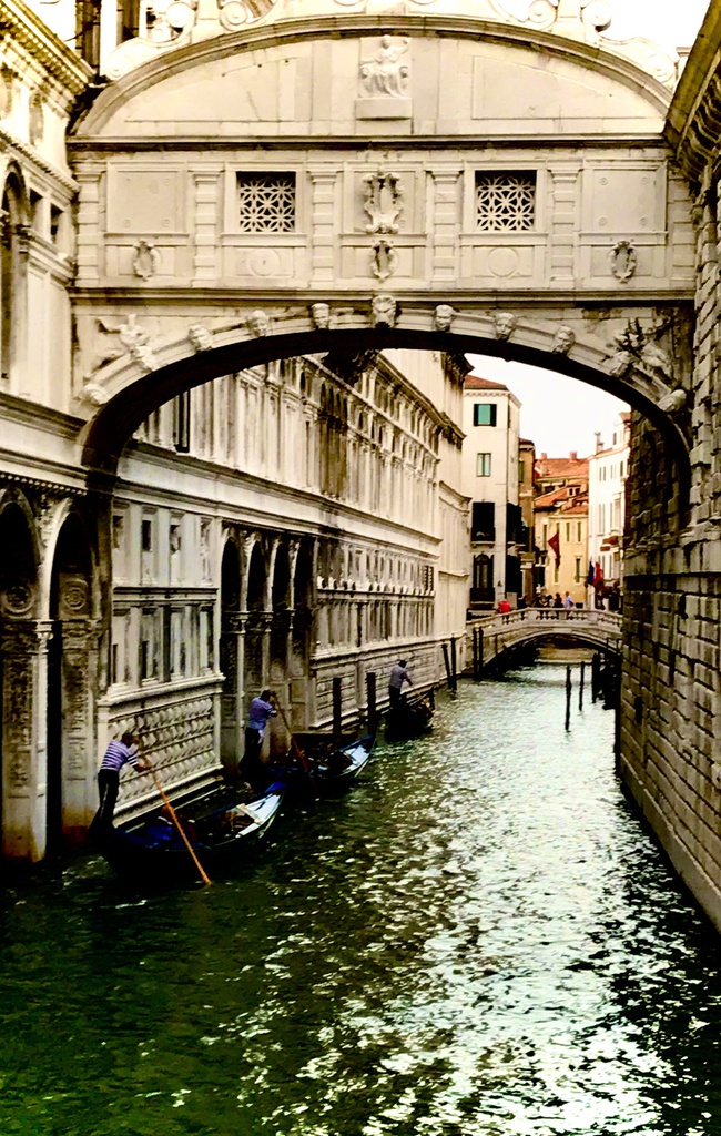 PROMOTION - Commercial Pro by Globe 123 10 inch slicer